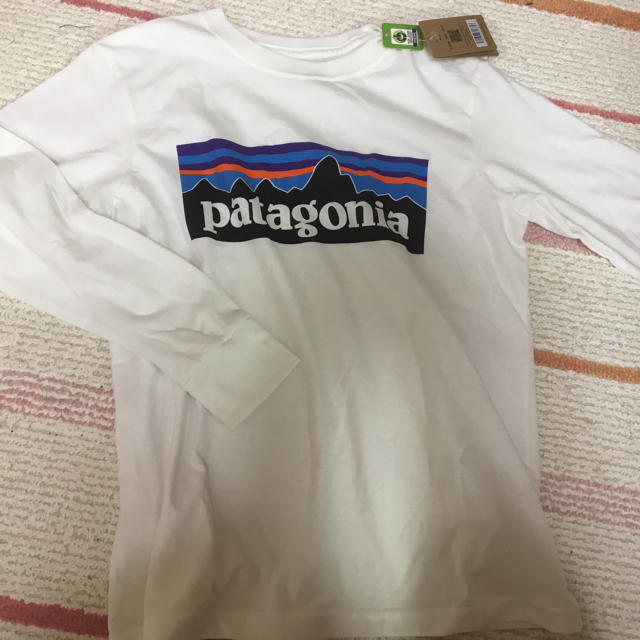 patagonia(パタゴニア)のＴシャツ レディースのトップス(Tシャツ(長袖/七分))の商品写真