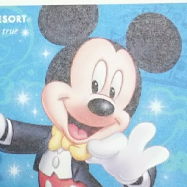 Disney(ディズニー)の○Saaato様専用○ チケットの施設利用券(遊園地/テーマパーク)の商品写真