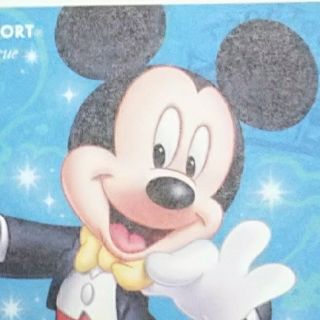 ディズニー(Disney)の○Saaato様専用○(遊園地/テーマパーク)