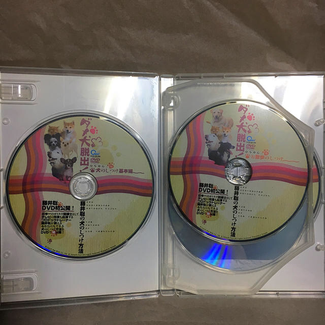 藤井 聡 犬のしつけ方法 DVD その他のペット用品(犬)の商品写真