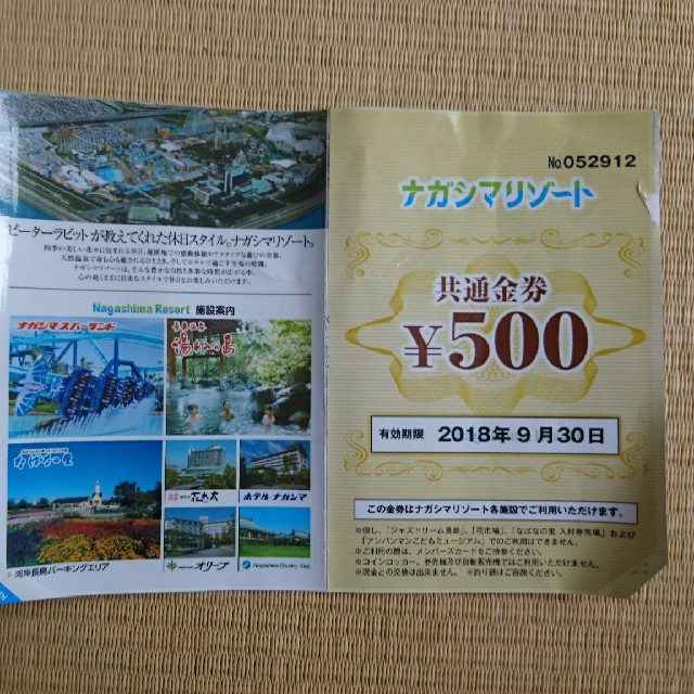 ナガシマスパーランド パスポート 2枚 500円金券付 (ラクマパックで送付)の