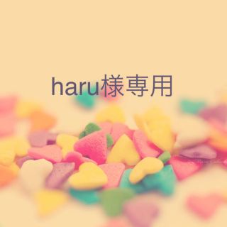 haru様専用(その他)