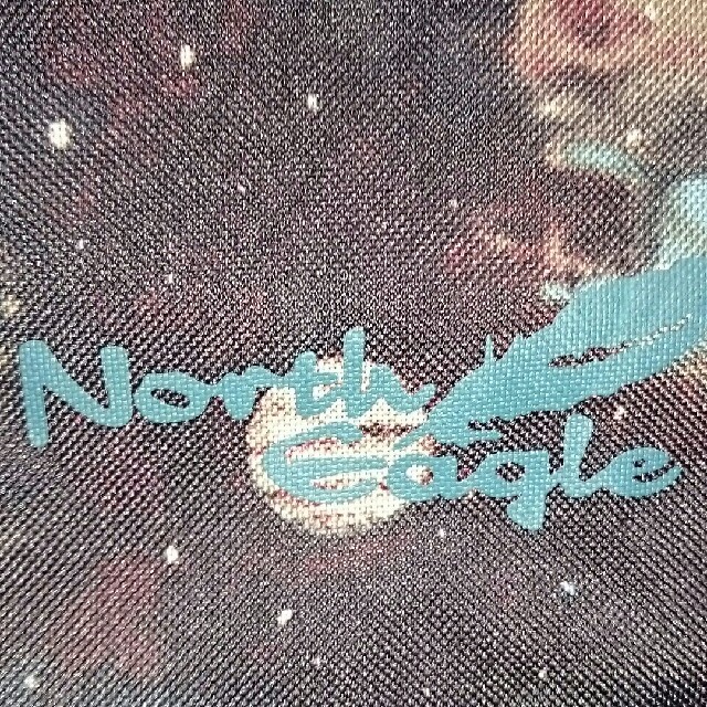 North Eagle(ノースイーグル)のTK様専用 ノースイーグル ベリーローチェア 2脚セット スポーツ/アウトドアのアウトドア(テーブル/チェア)の商品写真