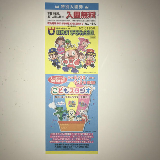 軽井沢 おもちゃ王国 3枚 チケットの施設利用券(遊園地/テーマパーク)の商品写真