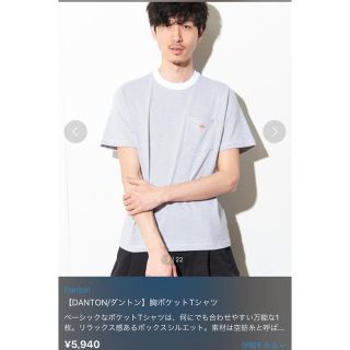 ダントン(DANTON)の未使用品！！ DANTON ダントン Tシャツ ホワイトグレー 42(Tシャツ/カットソー(半袖/袖なし))