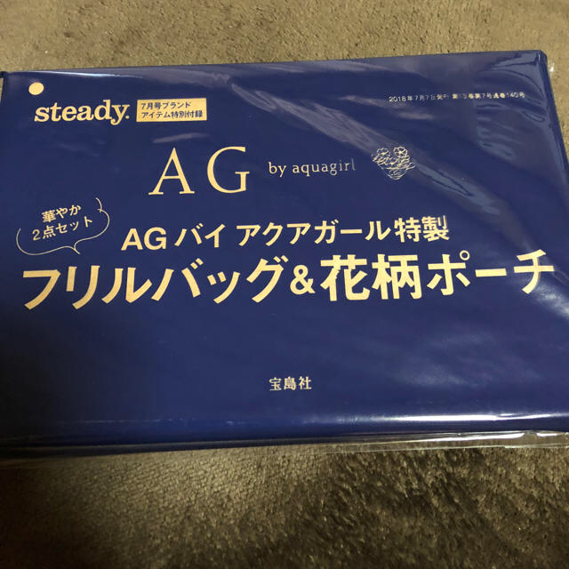 宝島社(タカラジマシャ)のSteady7月号付録 フリルバッグ＆花柄ポーチ レディースのファッション小物(ポーチ)の商品写真