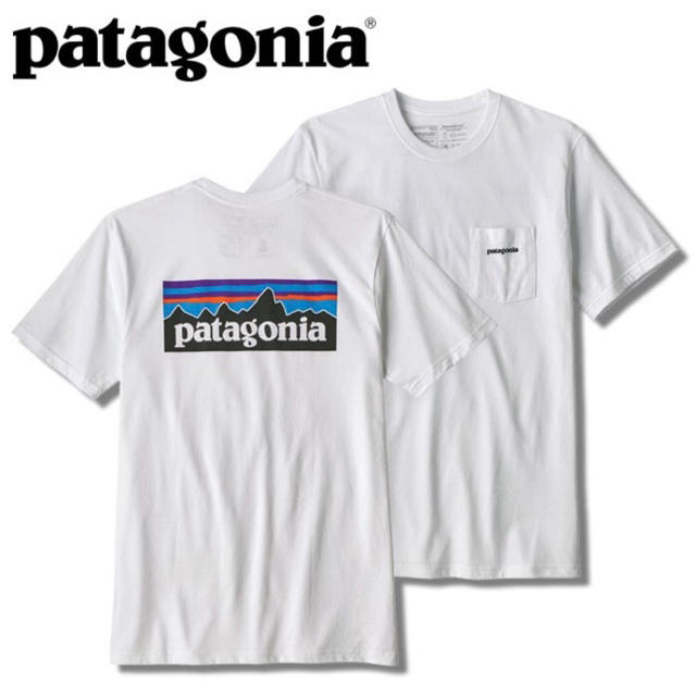 patagonia - パタゴニア Tシャツ レスポンシビリティー 白 XL ロゴ P6 ...