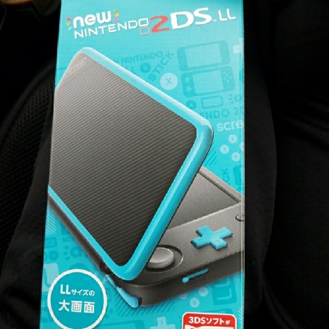 new任天堂2DS LLゲームソフト/ゲーム機本体