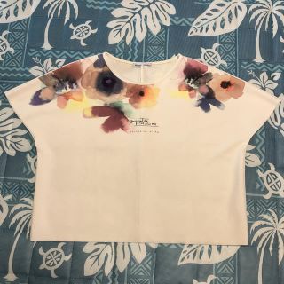 ザラ(ZARA)のZARA プリントTシャツ(Tシャツ(半袖/袖なし))