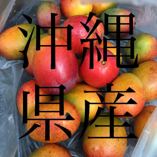 沖縄県産 ミニマンゴー 1キロ(フルーツ)