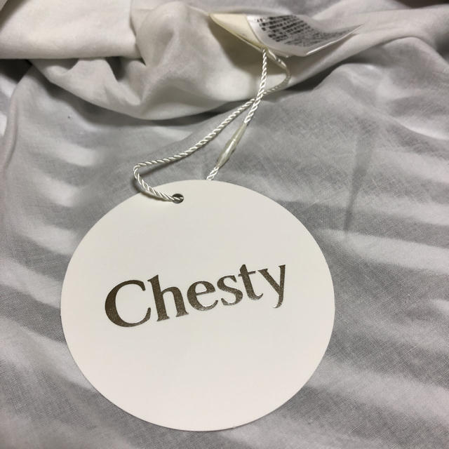 Chesty(チェスティ)のチェスティ Chesty スカート ストライプ アシンメトリー ロング レディースのスカート(ひざ丈スカート)の商品写真