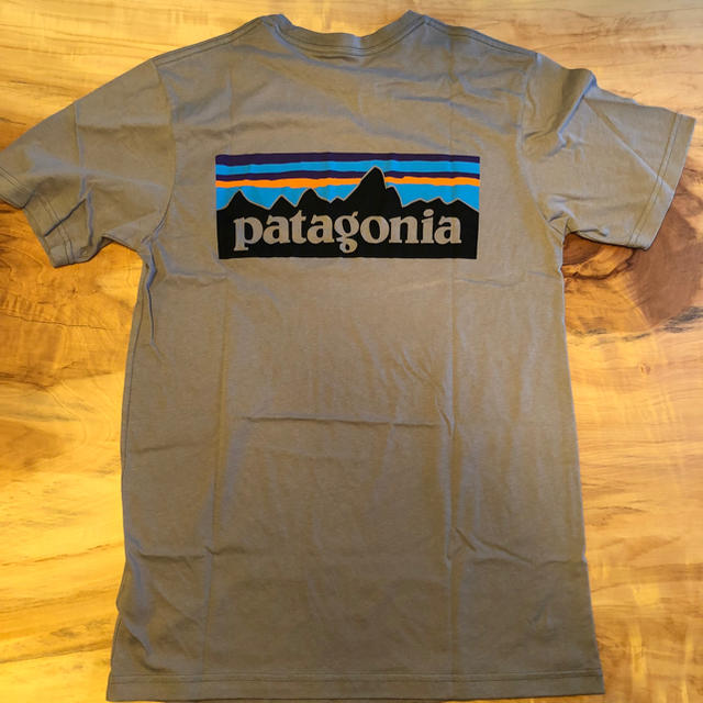 Ｓサイズ】新品未使用タグ付き patagonia パタゴニア Tシャツ グレー