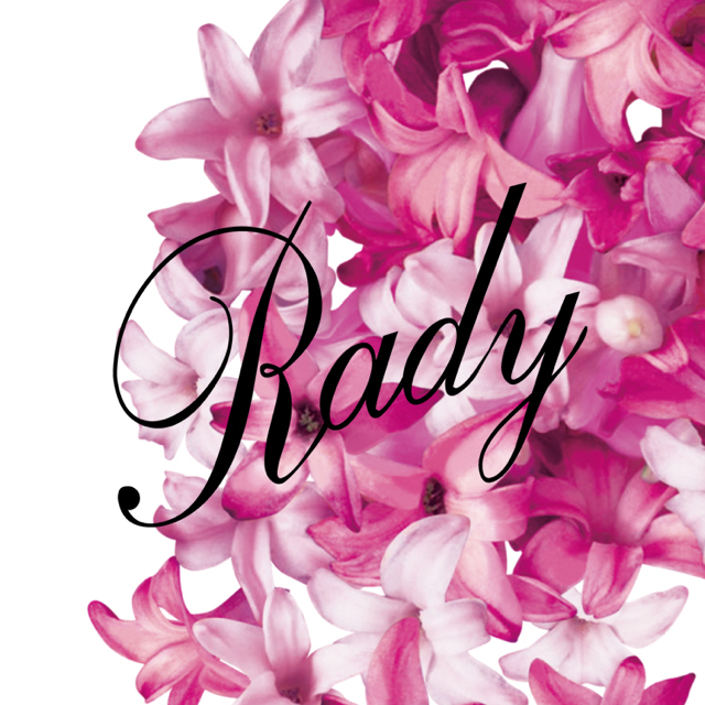 Rady(レディー)のあーな様専用♡ キッズ/ベビー/マタニティのキッズ服男の子用(90cm~)(Tシャツ/カットソー)の商品写真