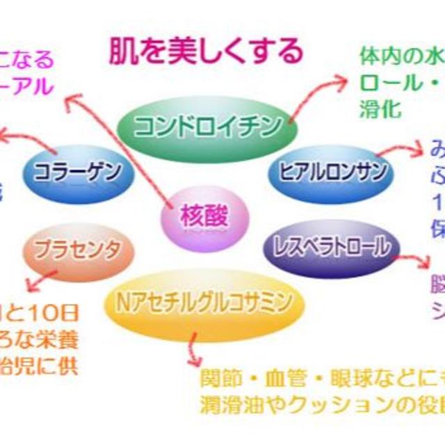 コラーゲン訳有　大特価　送料無料 水溶性 核酸ドリンク　セルビー ５本セット