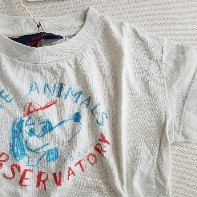 bobo chose(ボボチョース)の4Y☆The Animals Observatory TAO Tシャツ キッズ/ベビー/マタニティのキッズ服男の子用(90cm~)(Tシャツ/カットソー)の商品写真