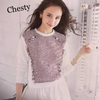 チェスティ(Chesty)の美品✨Chesty♡ビジュースウェット(トレーナー/スウェット)