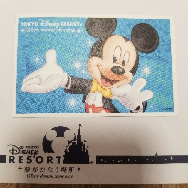 Disney(ディズニー)の東京ディズニーランド 年間パスポート 引換券 チケットの施設利用券(遊園地/テーマパーク)の商品写真