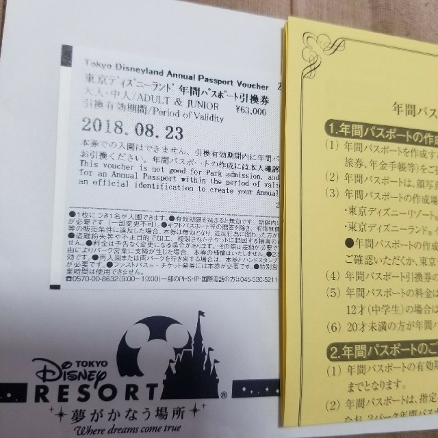 Disney(ディズニー)の東京ディズニーランド 年間パスポート 引換券 チケットの施設利用券(遊園地/テーマパーク)の商品写真