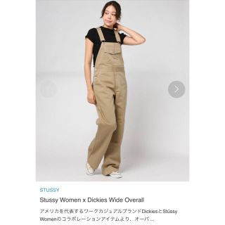 stussy dickies コラボ　オーバーオール