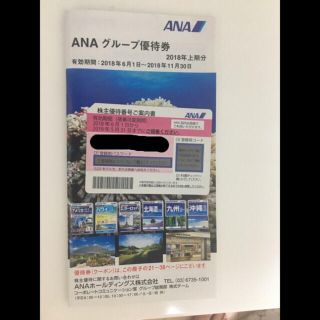 エーエヌエー(ゼンニッポンクウユ)(ANA(全日本空輸))のANA 株主優待(その他)