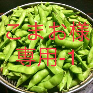 枝豆 2kg 新潟黒埼産 こだわりの夕方摘み クール便発送!(野菜)