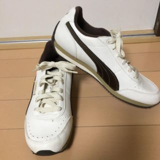 プーマ(PUMA)のPUMA スニーカー 24.5 美品(スニーカー)