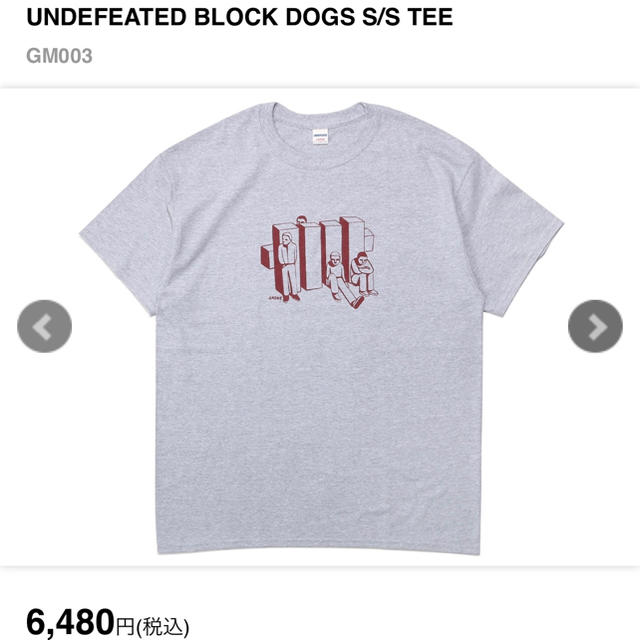 UNDEFEATED(アンディフィーテッド)のロクマル様専用  Undefeated ブロックTシャツ Mサイズ グレー メンズのトップス(Tシャツ/カットソー(半袖/袖なし))の商品写真