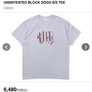 アンディフィーテッド(UNDEFEATED)のロクマル様専用  Undefeated ブロックTシャツ Mサイズ グレー(Tシャツ/カットソー(半袖/袖なし))