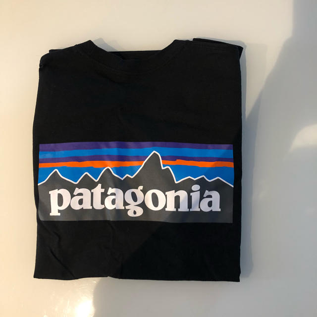 patagonia(パタゴニア)のパタゴニア Tシャツ レディースのトップス(Tシャツ(半袖/袖なし))の商品写真