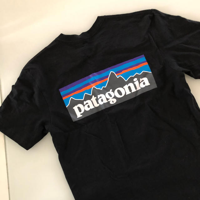 patagonia(パタゴニア)のパタゴニア Tシャツ レディースのトップス(Tシャツ(半袖/袖なし))の商品写真