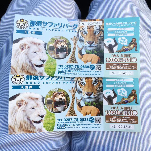 那須ワールドモンキーパーク 割引券 チケットの施設利用券(動物園)の商品写真