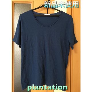 プランテーション(Plantation)の【新品未使用】《plantation》ジンバイオ カットソー Mサイズ(カットソー(半袖/袖なし))