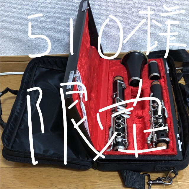 【SEAL限定商品】 ※510様限定※ クラリネット ジャックランスロ限定モデル r13 クランポン クラリネット 【SEAL限定商品】 ※510様限定※ クラリネット ジャックランスロ限定モデル r13 クランポン クラリネット