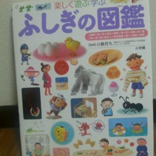 送料込み!!楽しく遊ぶ学ぶ ふしぎの図鑑(その他)