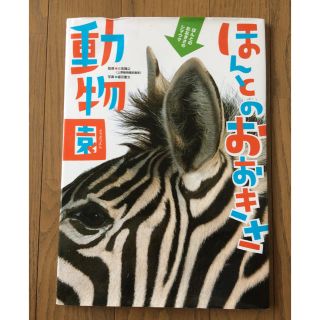 美品☆ほんとのおおきさ動物園(絵本/児童書)