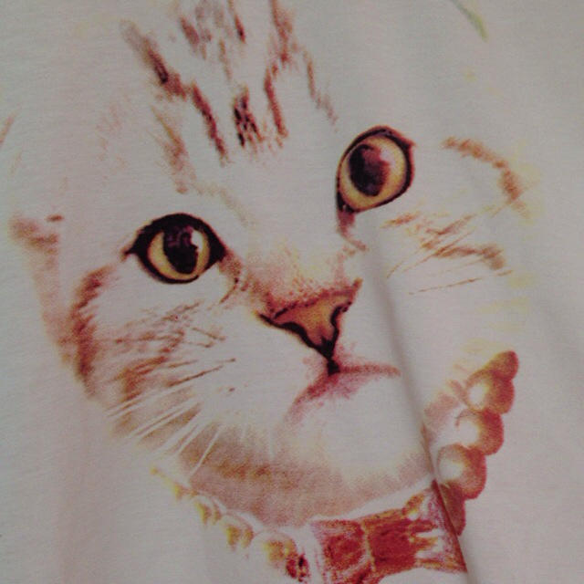 GRL(グレイル)のねこちゃんプリントTシャツ レディースのトップス(Tシャツ(半袖/袖なし))の商品写真