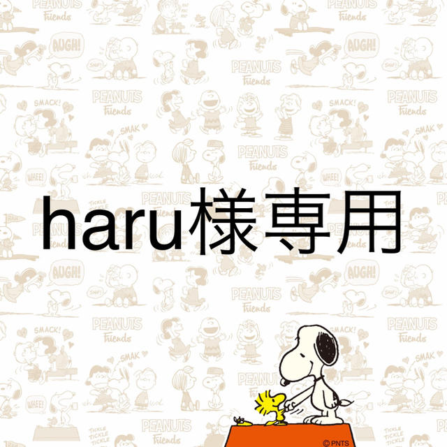 haru様専用ページ ハンドメイドのファッション小物(バッグ)の商品写真