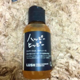 ラッシュ(LUSH)のLUSHボディーソープ(その他)