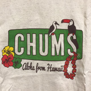 チャムス(CHUMS)のチャムス CHUMS✨Tシャツ M美品(Tシャツ(半袖/袖なし))