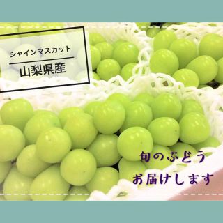 山梨県甲州勝沼産 ぶどう シャインマスカット 秀品 3房(フルーツ)