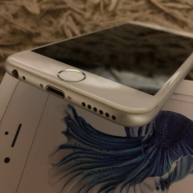 iPhone 6 Silver 16 GB au スマホ/家電/カメラのスマートフォン/携帯電話(スマートフォン本体)の商品写真