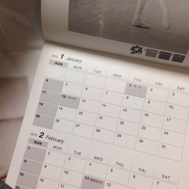 バレリーナ 2015カレンダー インテリア/住まい/日用品の文房具(その他)の商品写真
