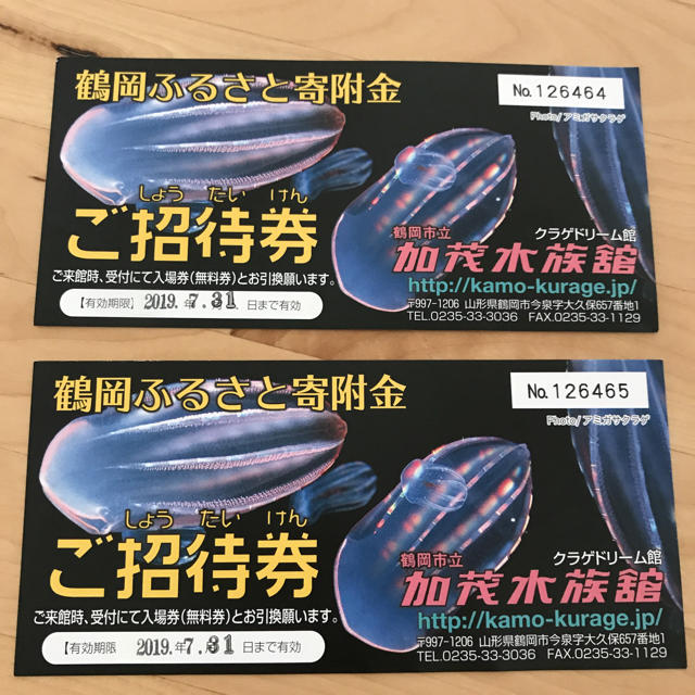 加茂水族館 クラゲドリーム館 チケットの施設利用券(水族館)の商品写真