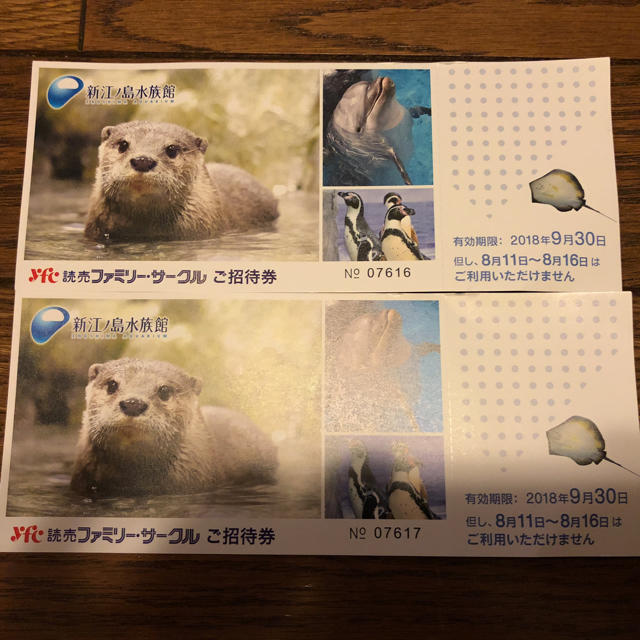 新江ノ島水族館 チケットの施設利用券(水族館)の商品写真