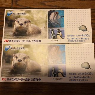 新江ノ島水族館(水族館)