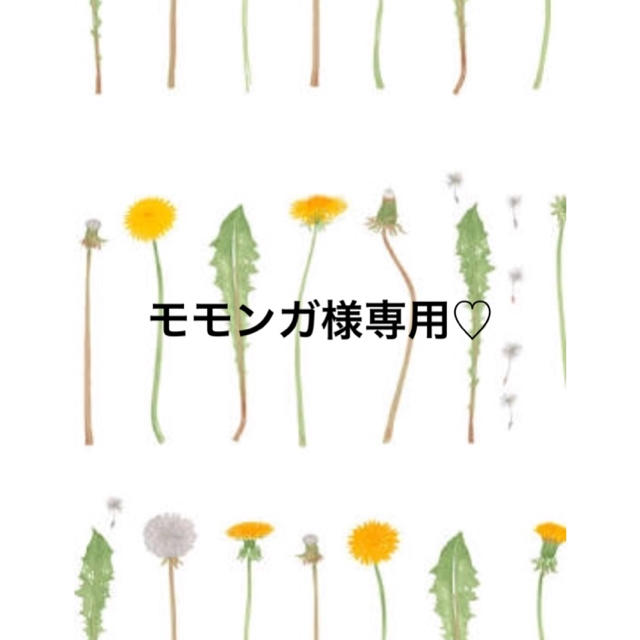 モモンガ様専用♡ | www.labodegona.com.gt