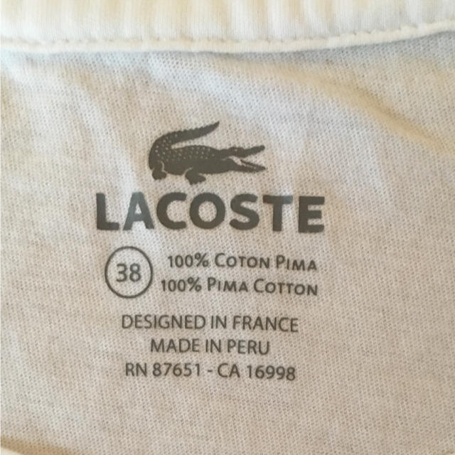 LACOSTE(ラコステ)のラコステ Tシャツ レディースのトップス(Tシャツ(半袖/袖なし))の商品写真