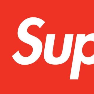 シュプリーム(Supreme)の【SUP様専用】(ダウンジャケット)