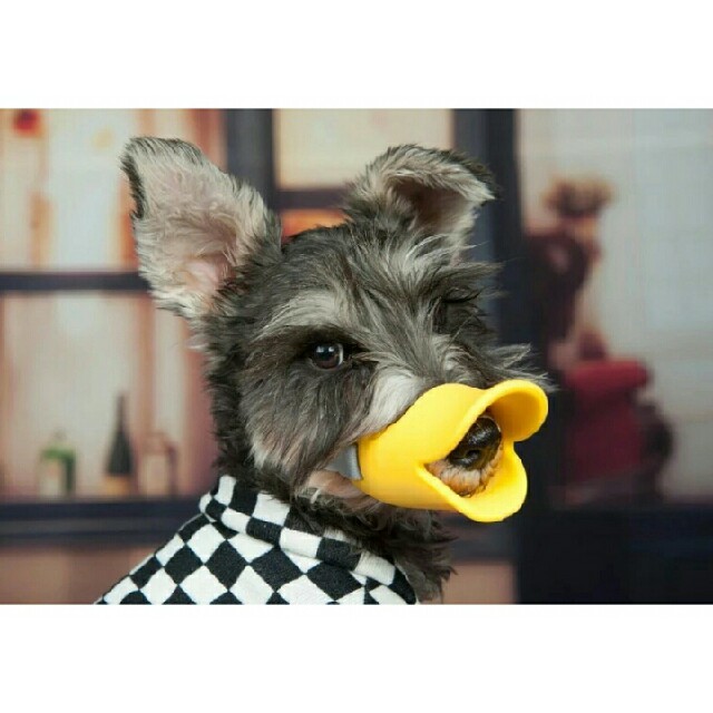 Sサイズ Mサイズ 犬の無駄吠え防止 アヒル口 中型犬向きの通販 By Tama S Shop ラクマ Sサイズ Mサイズ 犬の無駄吠え防止 アヒル口 中型犬向きの通販 By Tama S Shop ラクマ