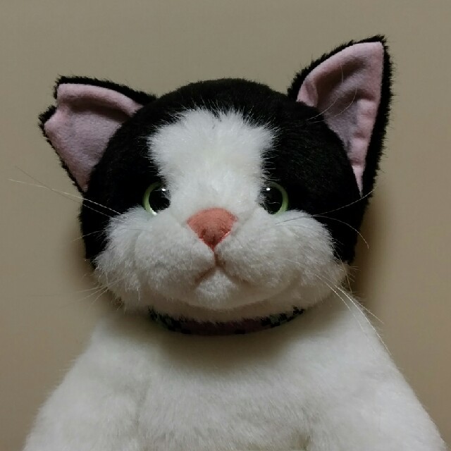 猫のはっちゃん ぬいぐるみの通販 by Mary's shop|ラクマ 猫のはっちゃん ぬいぐるみの通販 by Mary's shop|ラクマ